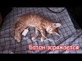 VLOG Новый маникюр девочек. К нам пришел барабанщик. Рецепт ленивых вареников