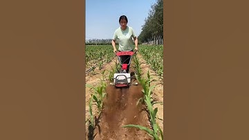 Small trencher Multi-function micro-tillage machine Petrol weeder