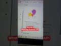 WhatsApp Business API | Cara Daftar Resmi Meta | Harga | Fitur & Kelebihan 2025 #whatsappapi