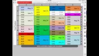 Lesson 12 - DNA Translation