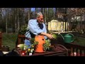 How To Start A Container Garden