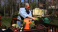 Gardening Tips - YouTube