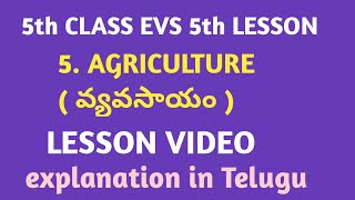 #EVS 5th class 5th Lesson # 5. AGRICULTURE ( వ్యవసాయం ) Lesson video explanation in Telugu #APSERT