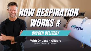 How Respiration Works & Oxygen Delivery (Video 2)