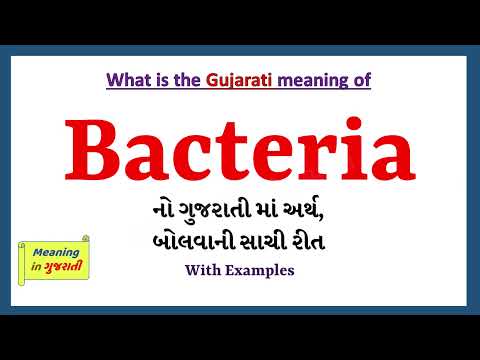 Bacteria Meaning in Gujarati | Bacteria નો અર્થ શું છે | Bacteria in Gujarati Dictionary |