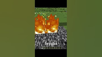 Can You Guess This Minecraft Block?  #minecraft #minecraftshorts