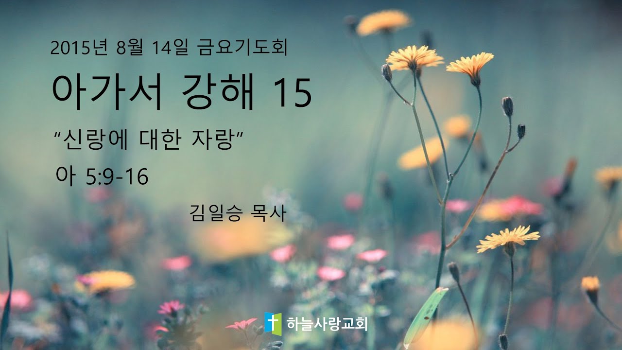 아가서 15 5:9-16 신랑에 대한 자랑