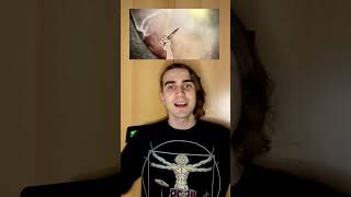 La macabra historia de A Little Piece of Heaven de #avengedsevenfold