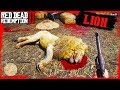 RDR2 Hunting the Lion / Cutting off lion Paw Gameplay 🤠🤠🤠