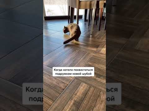 Какая красивая шуба!