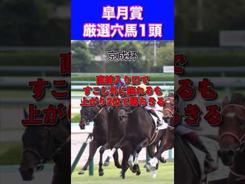 【皐月賞2024】厳選穴馬1頭