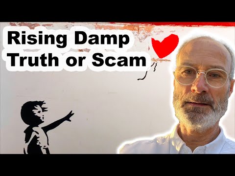 ❤️ Rising Damp