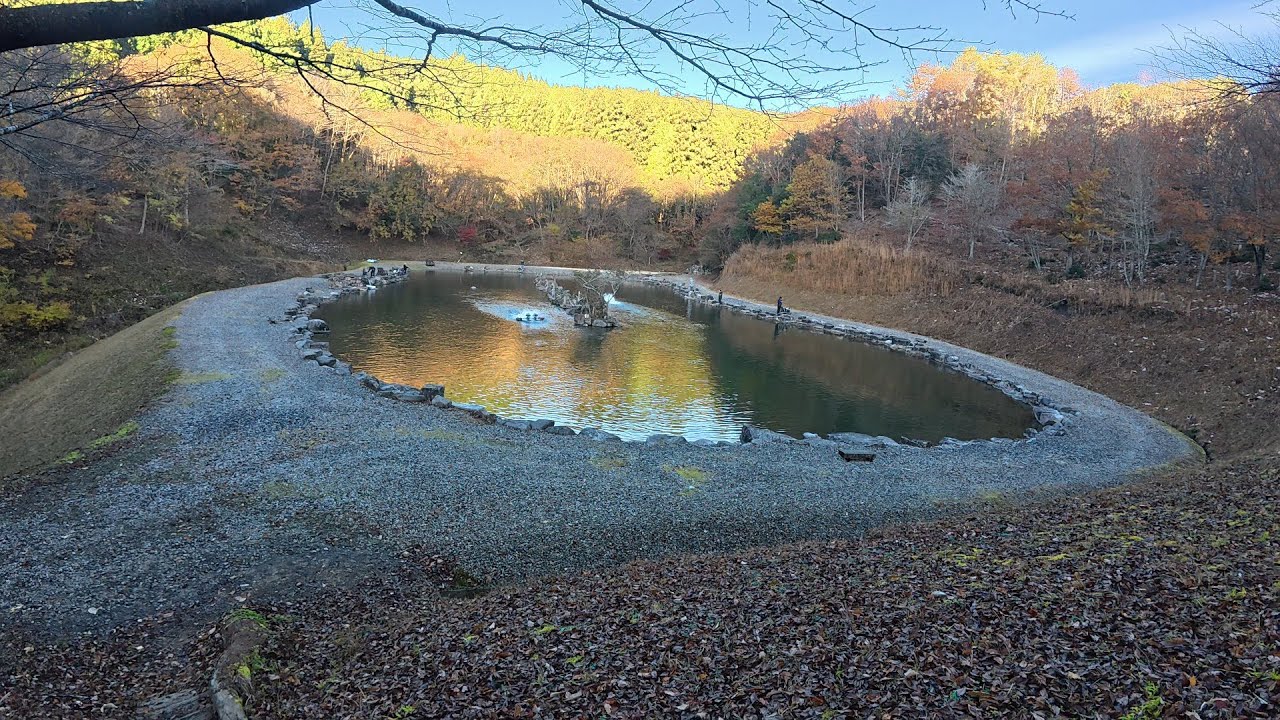 最高のロケーションでニジマスと戯れる！戸神の池