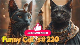 Смешные коты #220