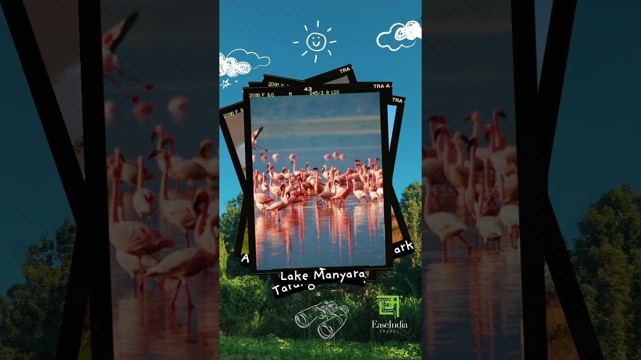 Tanzania Birding Tour!