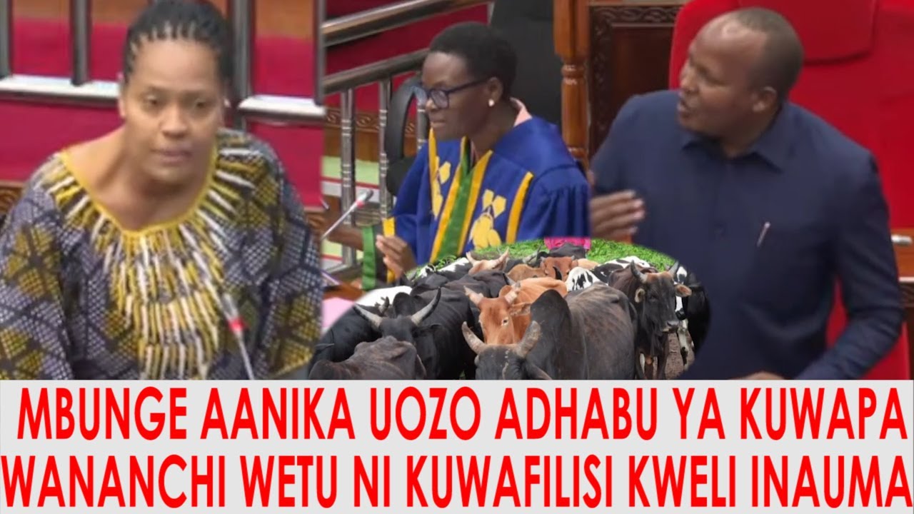 AIBU;MBUNGE NGORONGORO AANIKA MADUDU YA ASKARI YA TANAPA KUPORA MIFUGO YA WANANCHI NA KUIPIGA MNADA.