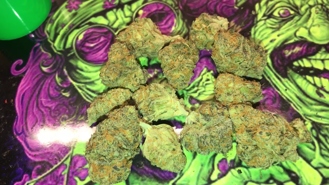 Purple kush weed strain