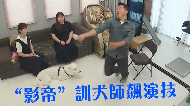 狗主人隨心所欲養狗給別人帶去麻煩，訓犬師現場示範她的錯誤行為，明知道錯還不承認! - 天天要聞