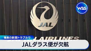 JALダラス便が欠航　機長の飲酒トラブル【WBS】（2024年4月26日）