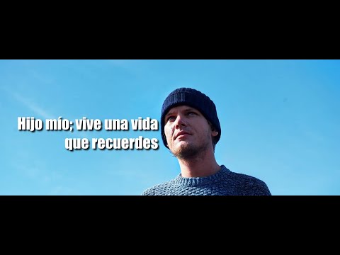 Avicii - The Nights