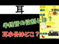 看護師国家試験出るとこだけ『耳』 聞いて覚える。#shorts