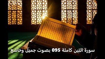 سورة التين كاملة 095