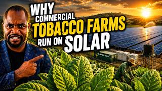 tobacco valley solar farm Inside a Solar-Powered in Africa CALIFORNIA VALLEY SOLAR RANCH |