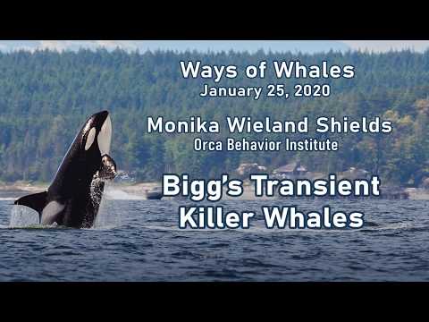 Ways of Whales 2020 #7 - Monika Wieland Shields w/OBI - Bigg&rsquo;s Transient Killer Whales