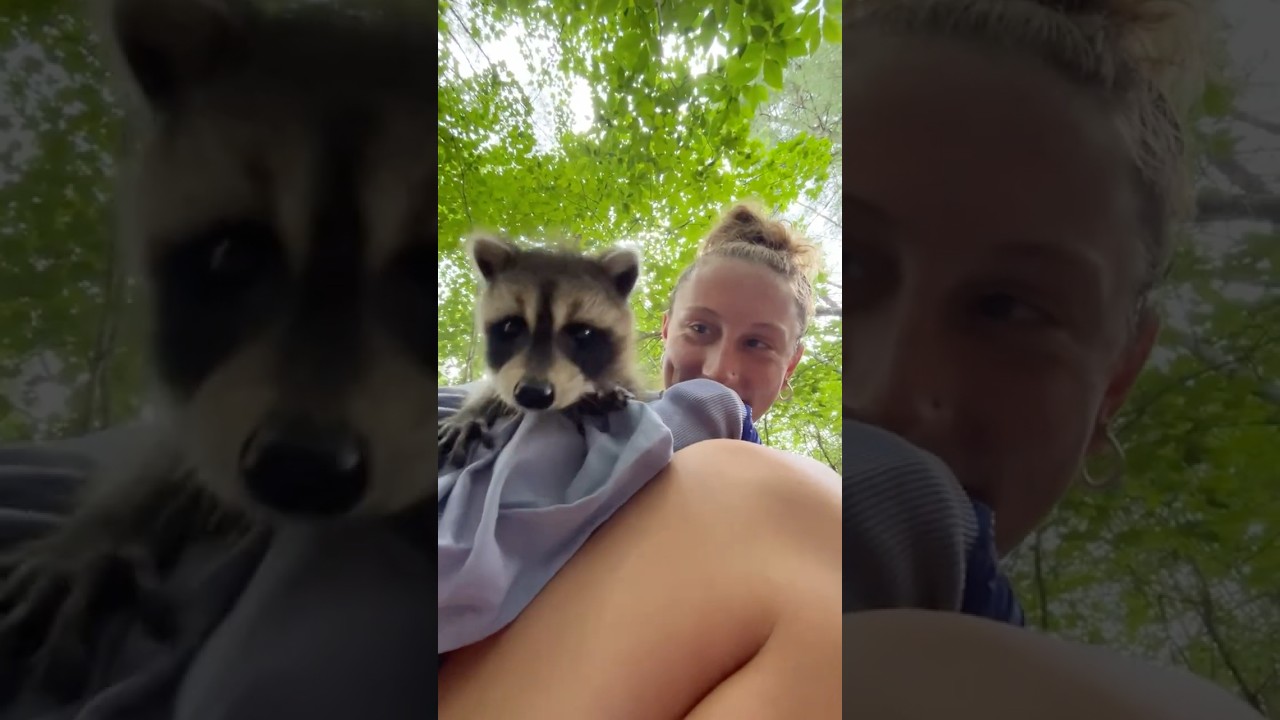 Салаты из белок и объятия скунсов: стажировка в Центре дикой природы на реке Сако.