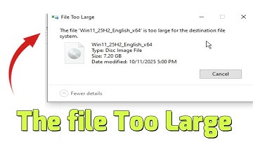 How to fix error the file is too large for the destination file System
