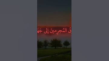 القارئ محمد اللحيدان #قران_كريم #اكسبلور #تذكار #دويتو #لايك #تيك_توك #edit #راحة_نفسية