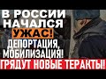 ОБЛАВЫ в РФ! Отлавливают мигрантов и мобиков!Высокая угроза серии терактов!Режим на грани КАТАСТРОФЫ