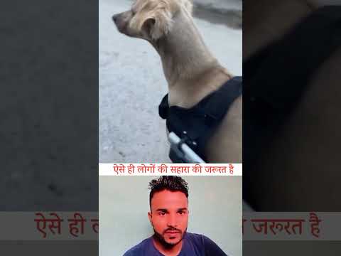 बेजुबानों के लिए इतना कुछ कौन करेगा😧