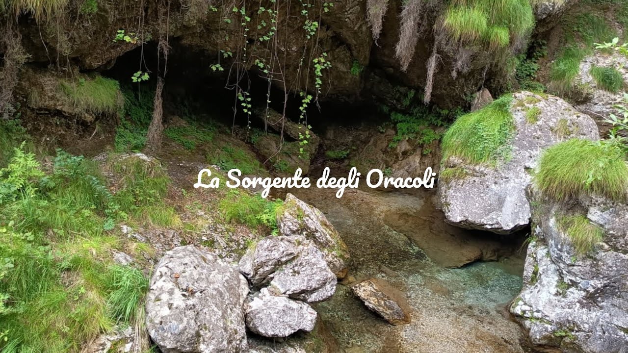  🧿L'uomo/il ragazzo che tu desideri, ti ha notata: l'inizio di tutto! 💥❤️🧿🪶