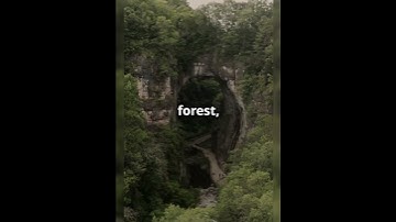 A giant sinkhole in China hides a secret forest with unknown species! #facts #shorts #didyouknow