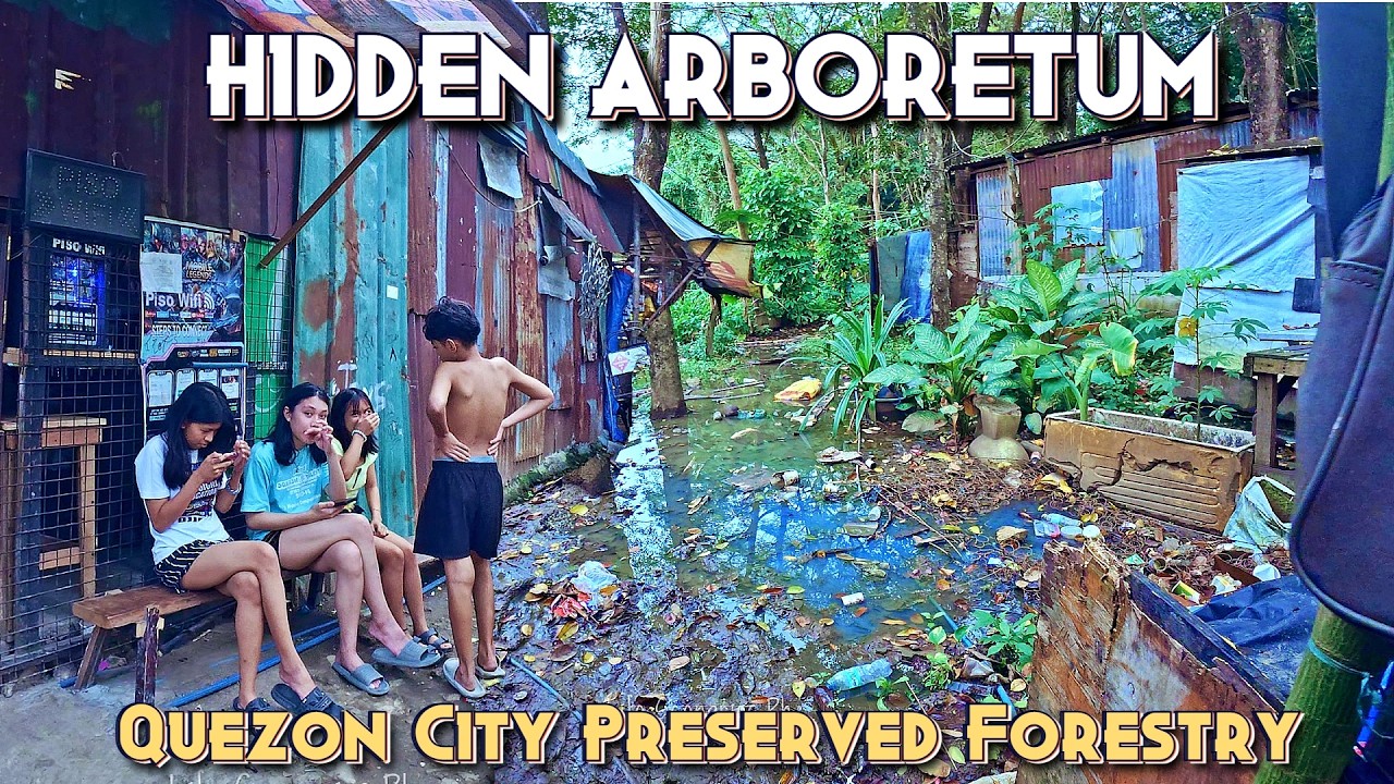 Arboretum, Quezon City | The Quiet Forest at the City’s Center [4K] 🇵🇭