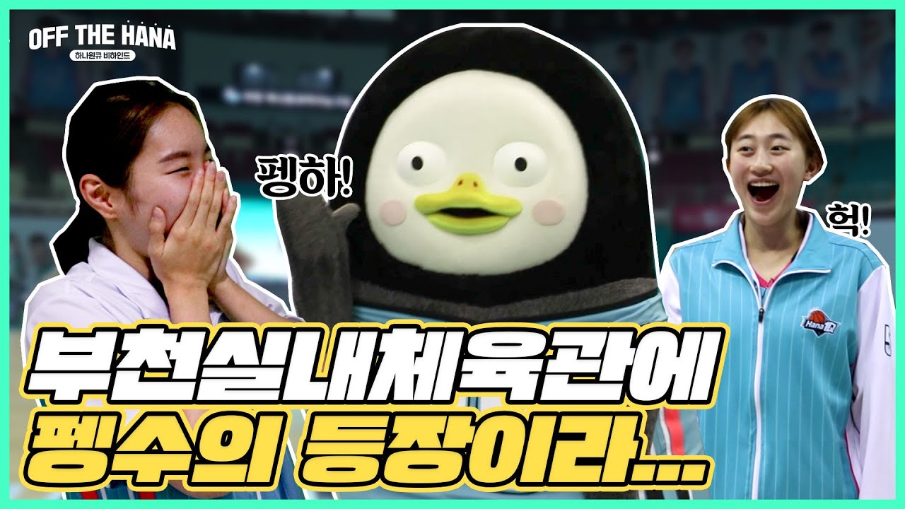 [OFF THE HANA] 부천실내체육관에 펭수의 등장이라...