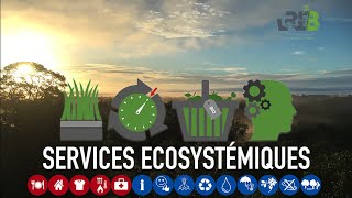 Services Écosystémiques Ou Écologiques