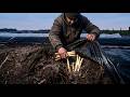 Why Farmers Bury These Crops ALIVE (World's Most Extreme Farms)