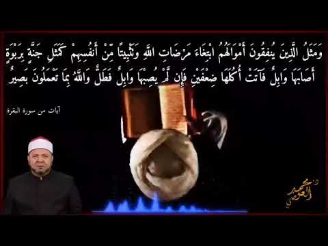 أداء مفسر رائع لبعض الأيات من سورة البقرة لفضيلة العالم الدكتور محمد العوضى