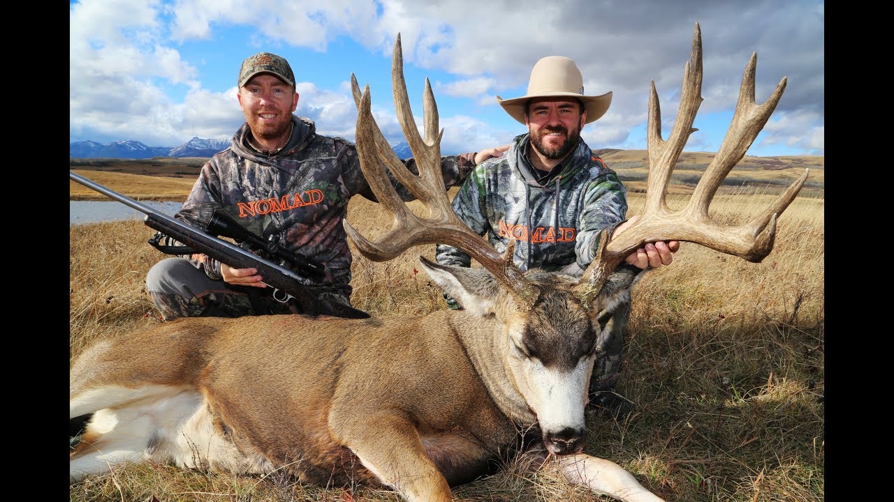 Monster Mule Deer Bucks