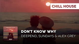 Chill Cover | Deepend, Sundays & Alex Grey - Don't Know Why [Official Lyric Video]