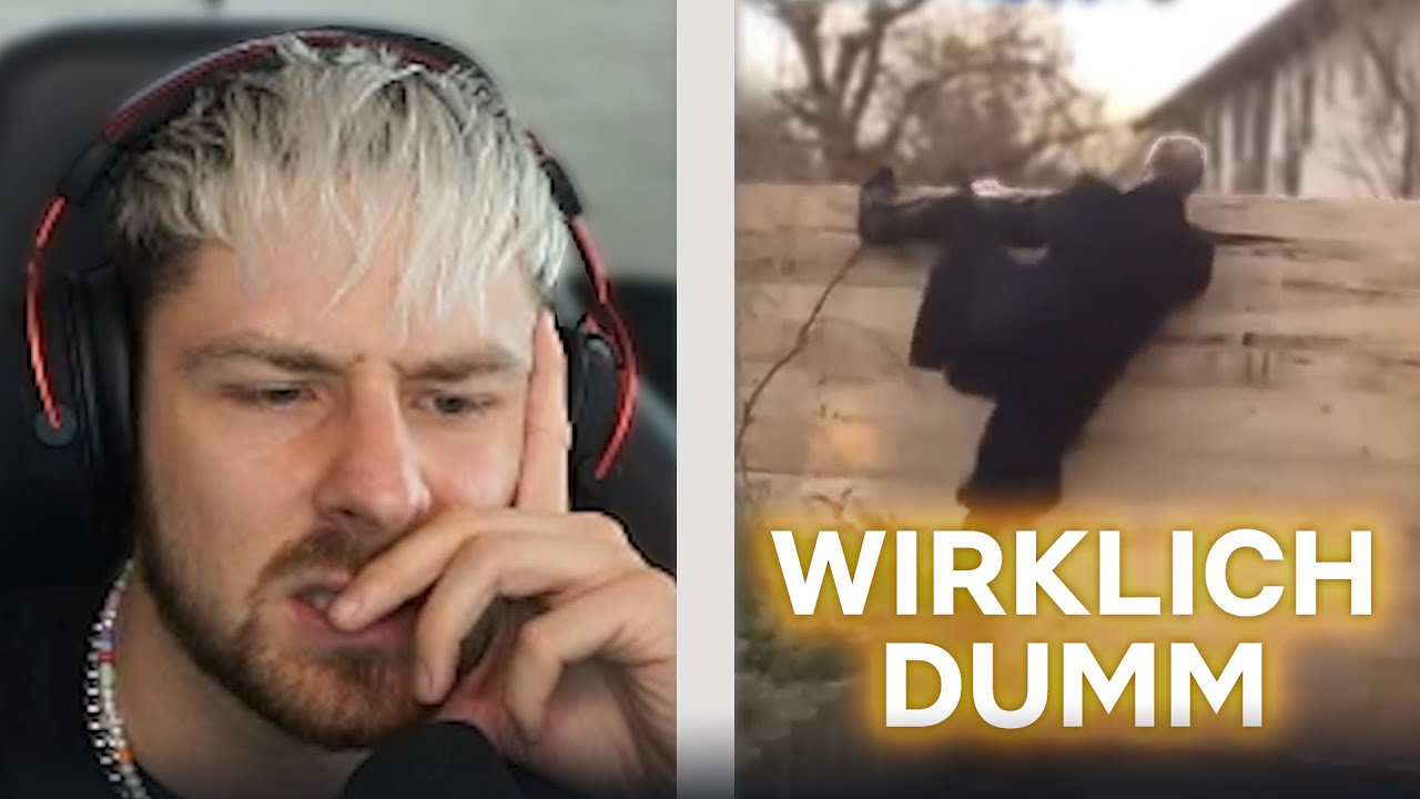 Rewi reagiert auf Steuerverschwendung... Realer Irrsinn React!