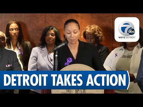Detroit launches new domestic violence initiatives, names first full time city liaison