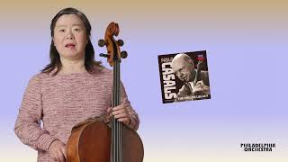 Meet Principal Cello Hai-Ye Ni