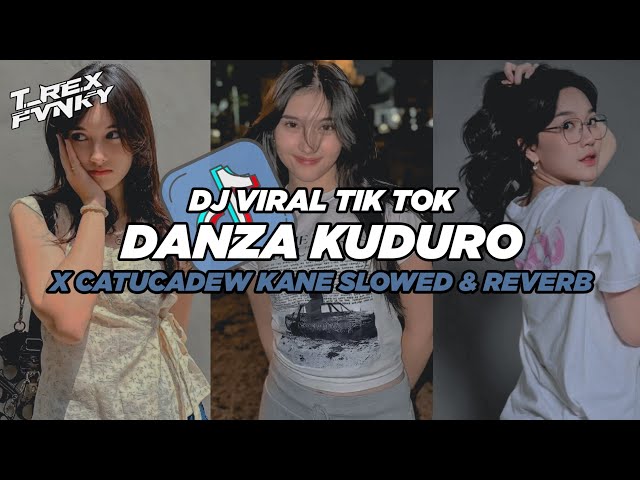 DJ DANZA KUDURO X CATUCADEW SLOW KANE VIRAL TIK TOK 2024 (Slowed & Reverb) class=