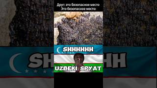 В этом месте лучше не шуметь #мемы #узбекиспят #летучаямышь #приколы
