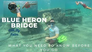 Blue Heron Bridge Snorkeling-Know Before You go