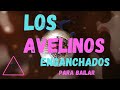 Los avelinos enganchado para bailar  resubido