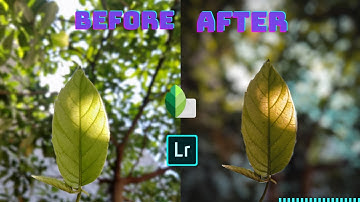 DSLR Level Mobile Photography using SNAPSEED & LIGHTROOM MOBILE!